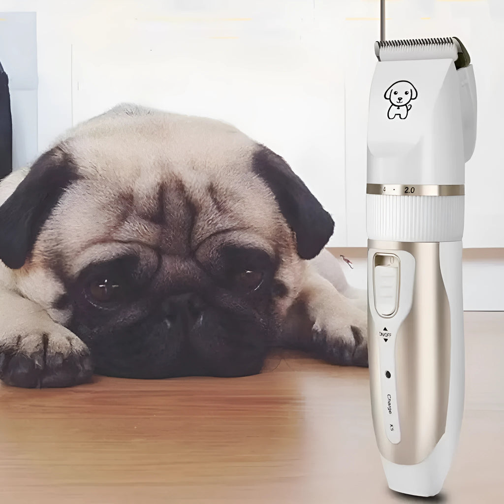 White handled dog grooming clipper kit with ceramic blades, four combs, oil, brush and USB cable on table.