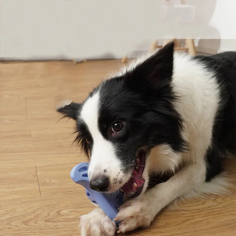 Blue nylon Boomerang Molar dog chew toy for medium and large puppies.