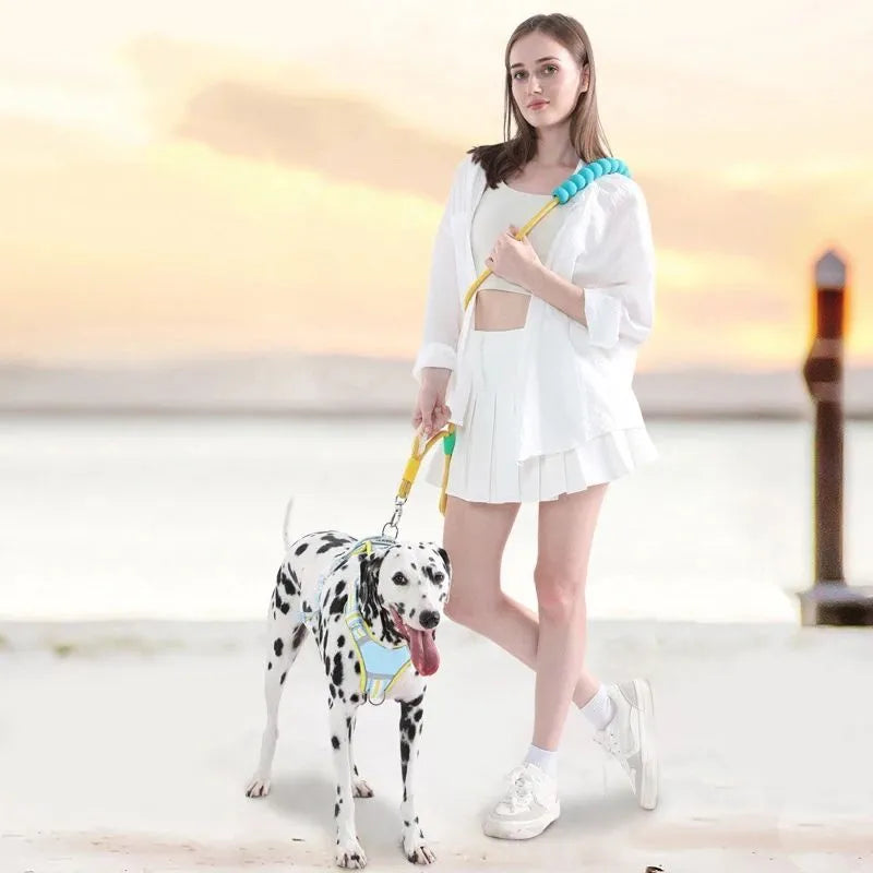 140cm dog traction leash with anti-slip foam handle in four colour options