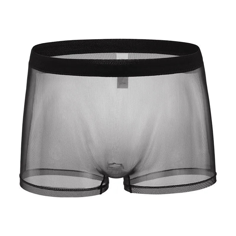 Men's mesh boxer briefs in sheer polyester fabric showing low waist design