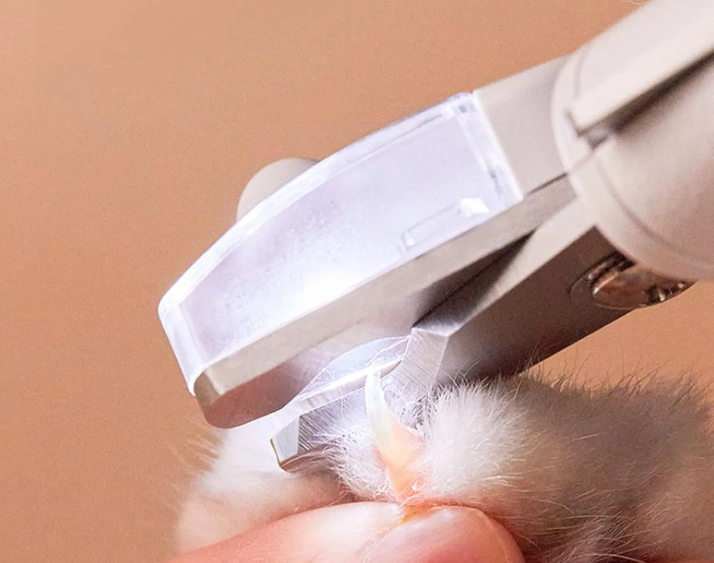 White pet nail clippers with LED light, transparent anti-splash guard, and triangular blade for cats and dogs