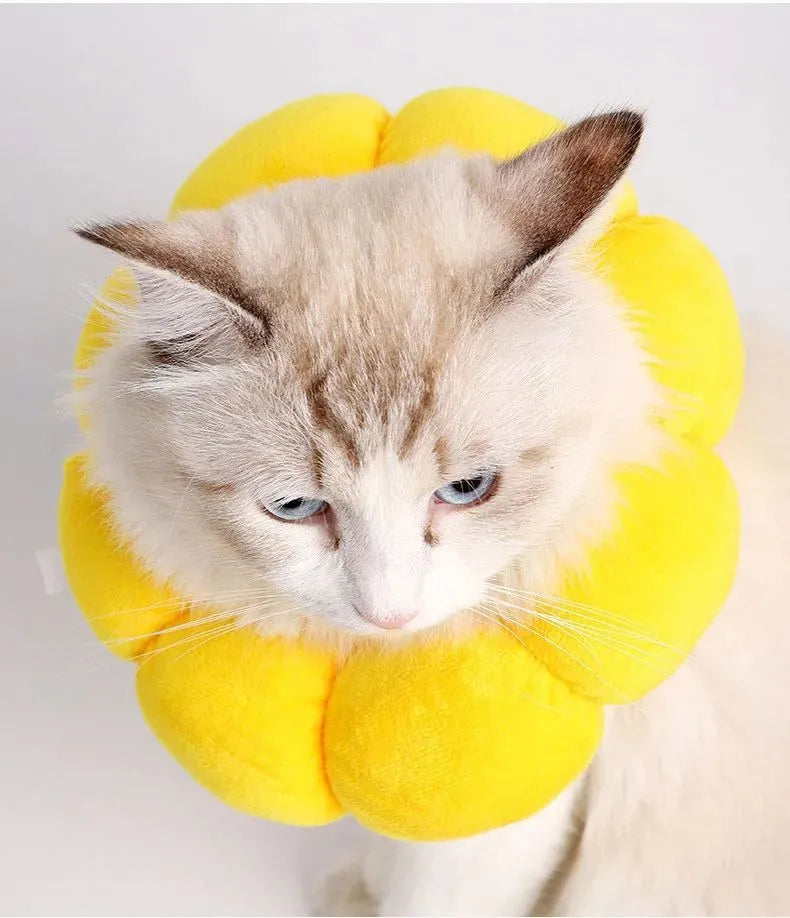 Sunflower-pattern cotton protective collar for dogs and cats, shown with adjustable band and size chart.