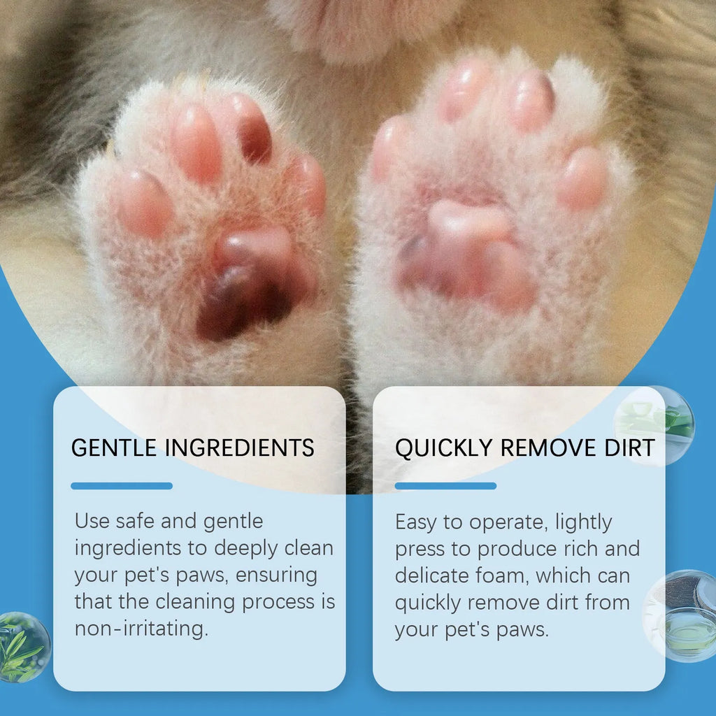 100ml pet foot cleaning foam for dogs and cats with camellia and aloe extracts