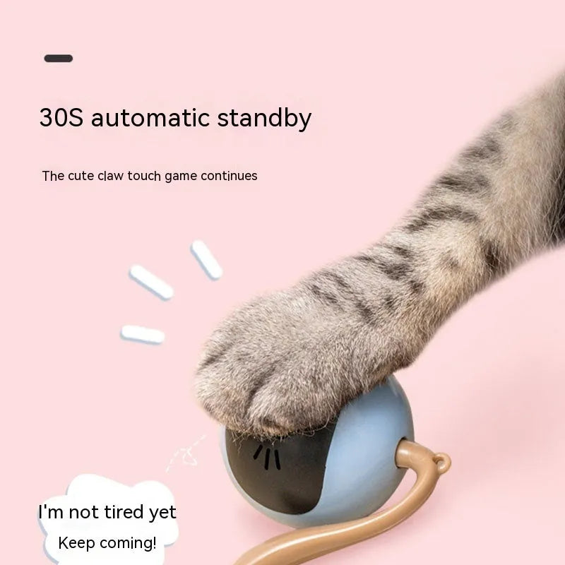 Cat toy electric toy ball in cloudy blue plastic self-moving interactive pet toy