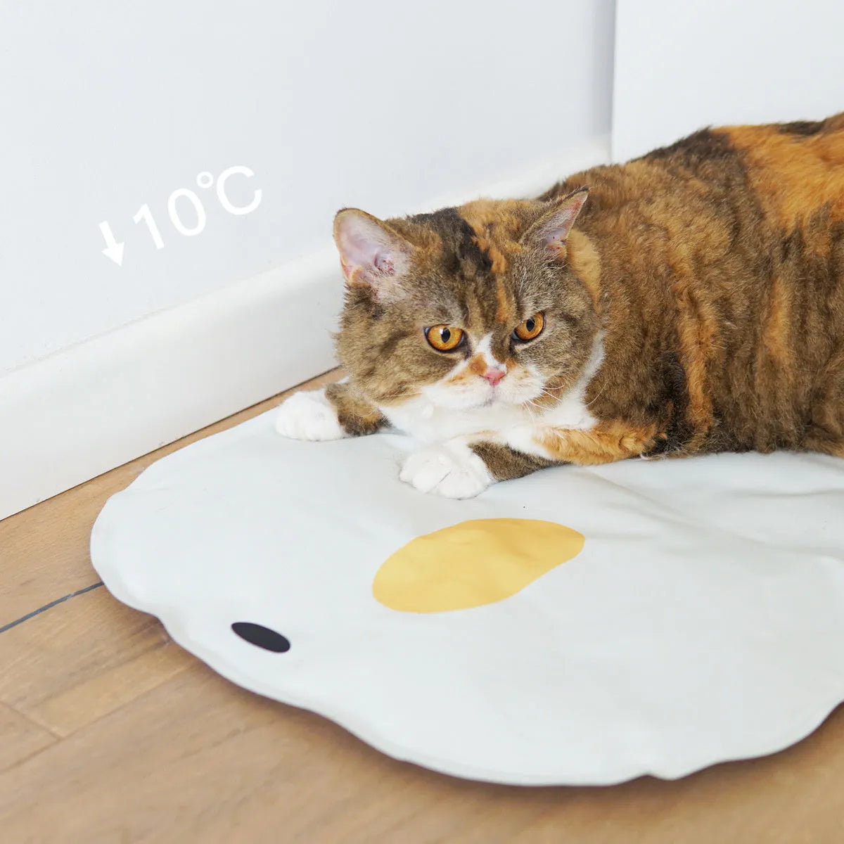 Washable pet cooling mat for dogs and cats in chick and oval size options