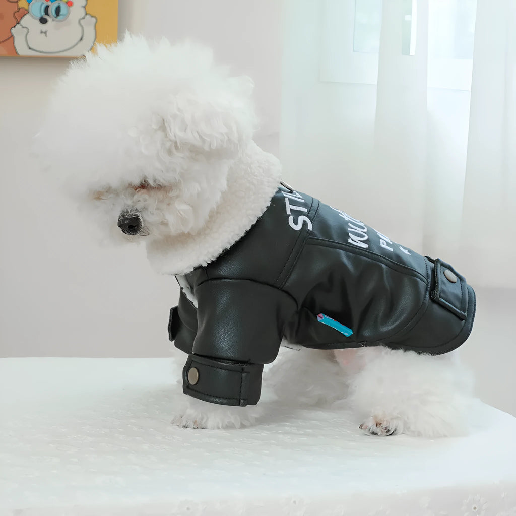 Fleece lined padded dog coat for small to large dogs in beige, black, and suede leather colour options.