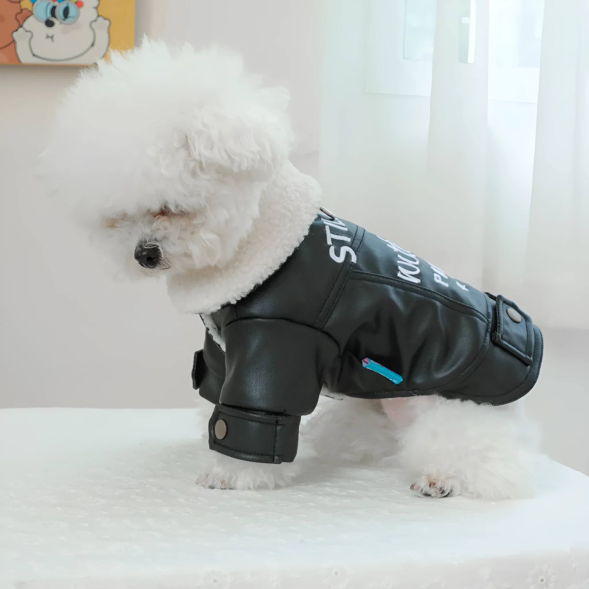 Fleece lined padded dog coat for small to large dogs in beige, black, and suede leather colour options.