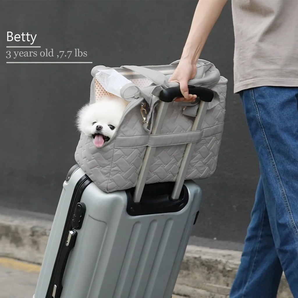 Grey pet carrier handbag with mesh panels and multiple pockets, shown with a small dog inside.