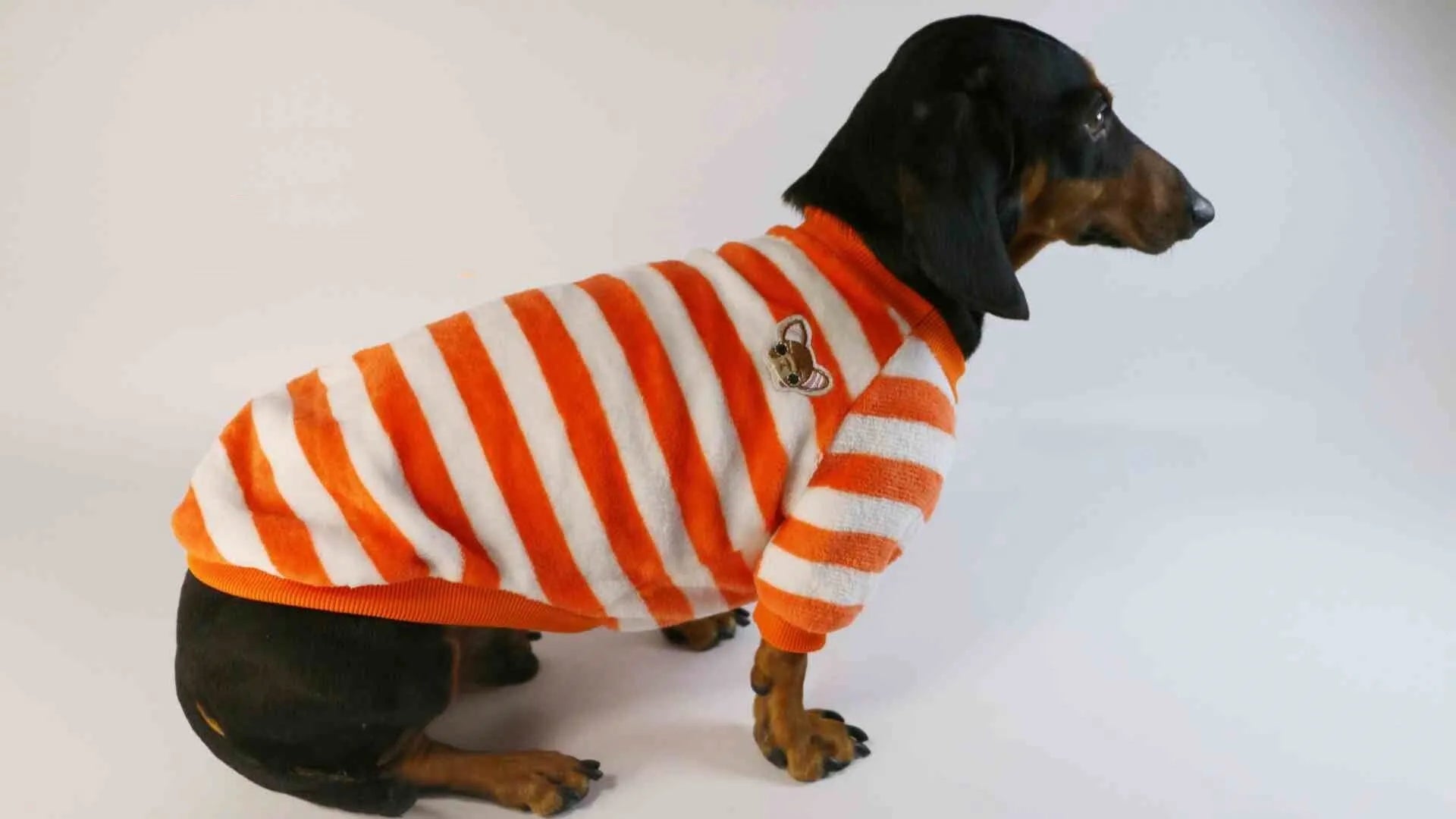 Orange-red and white striped pet sweatshirt with round neck for dogs and cats