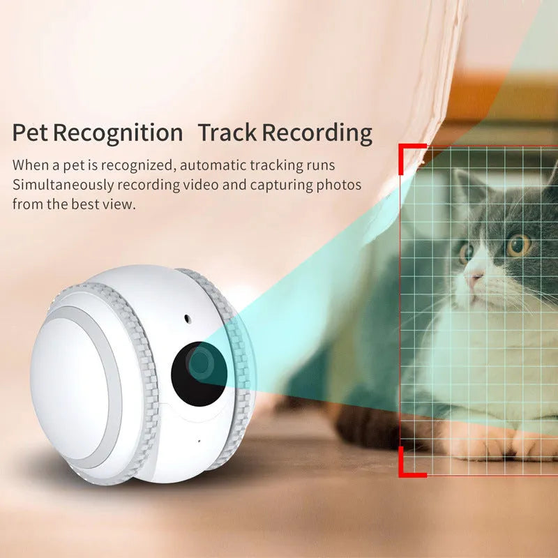 White robot cat electronic pet companion with automatic recharge system
