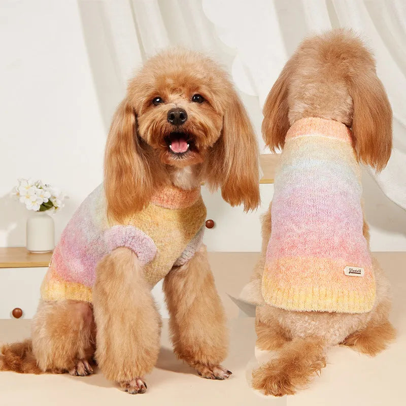 Rainbow coloured dopamine pattern dog sweater in wool acrylic blend fabric