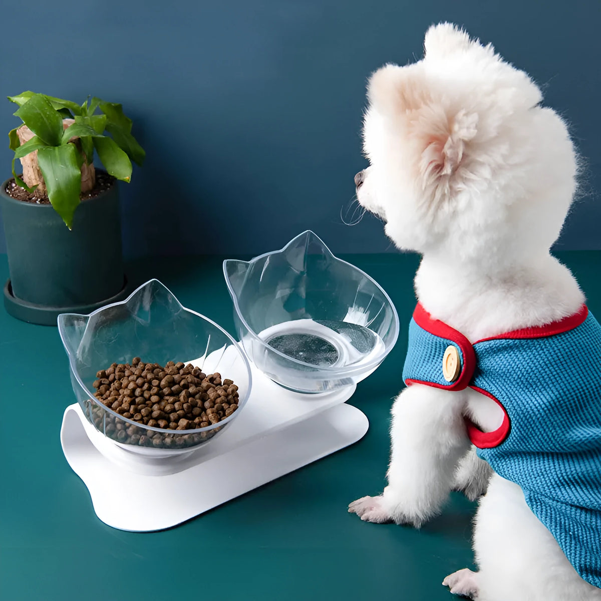 Inclined transparent single cat bowl with 13cm diameter PC plastic mouth and beige ABS plastic base
