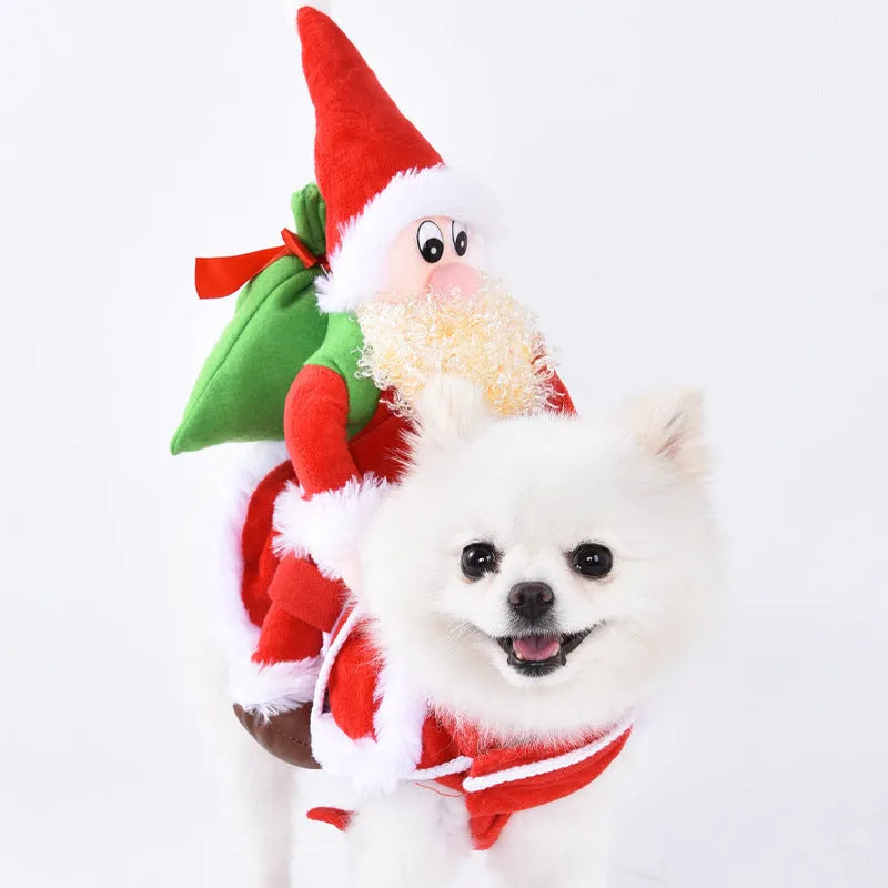 Halloween dog costume selection showing bat suit, devil outfit, and space clothing styles for pets