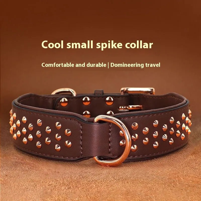 Brown leather dog collar with silver metal rivets on a black background.