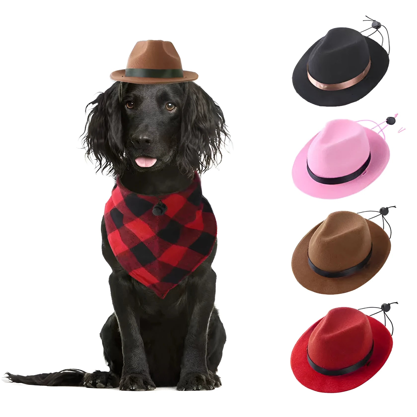 Small wool felt pet hat in four colours for dogs and cats with 155cm diameter