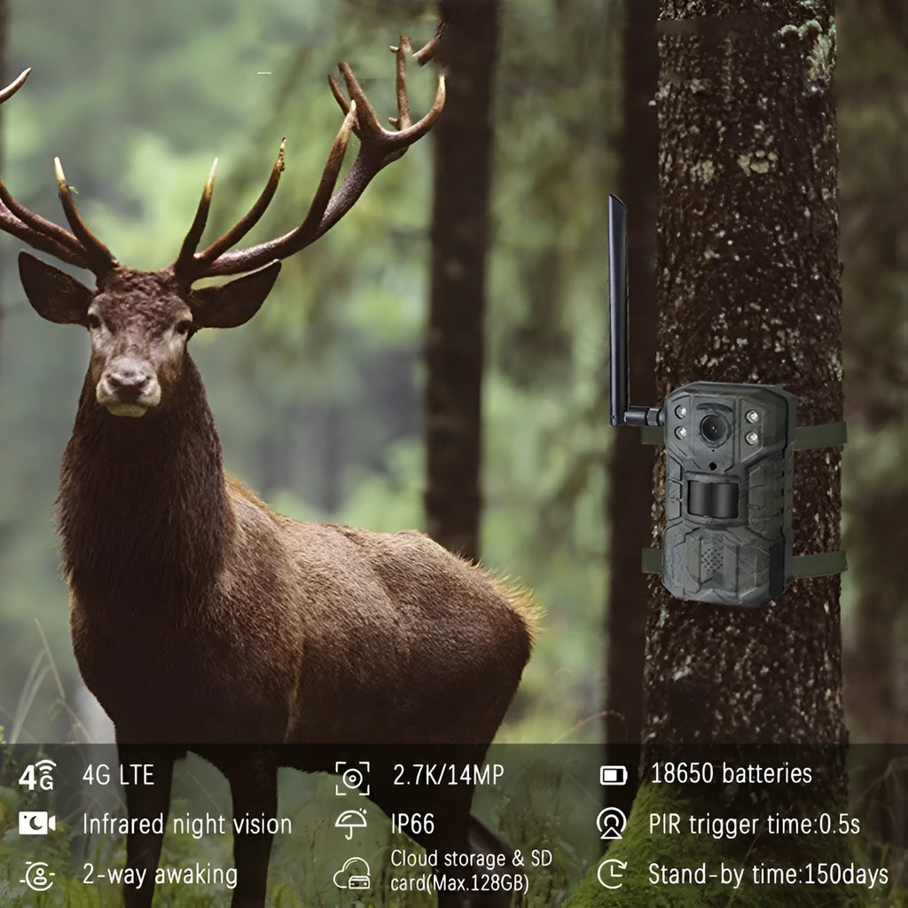 Outdoor 4G surveillance camera with 5MP lens and infrared night vision for remote security monitoring