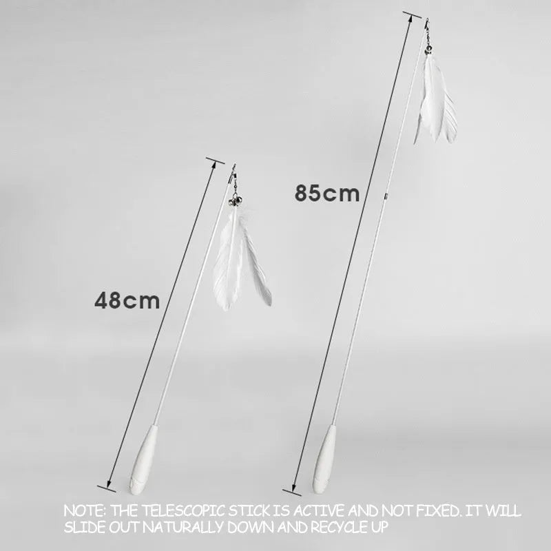 Telescopic cat fishing rod toy extended to 80cm with removable goose feather attachment and integrated bell