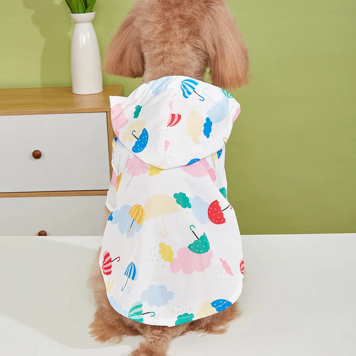 Colourful cartoon umbrella pattern dog raincoat in size L laid flat.
