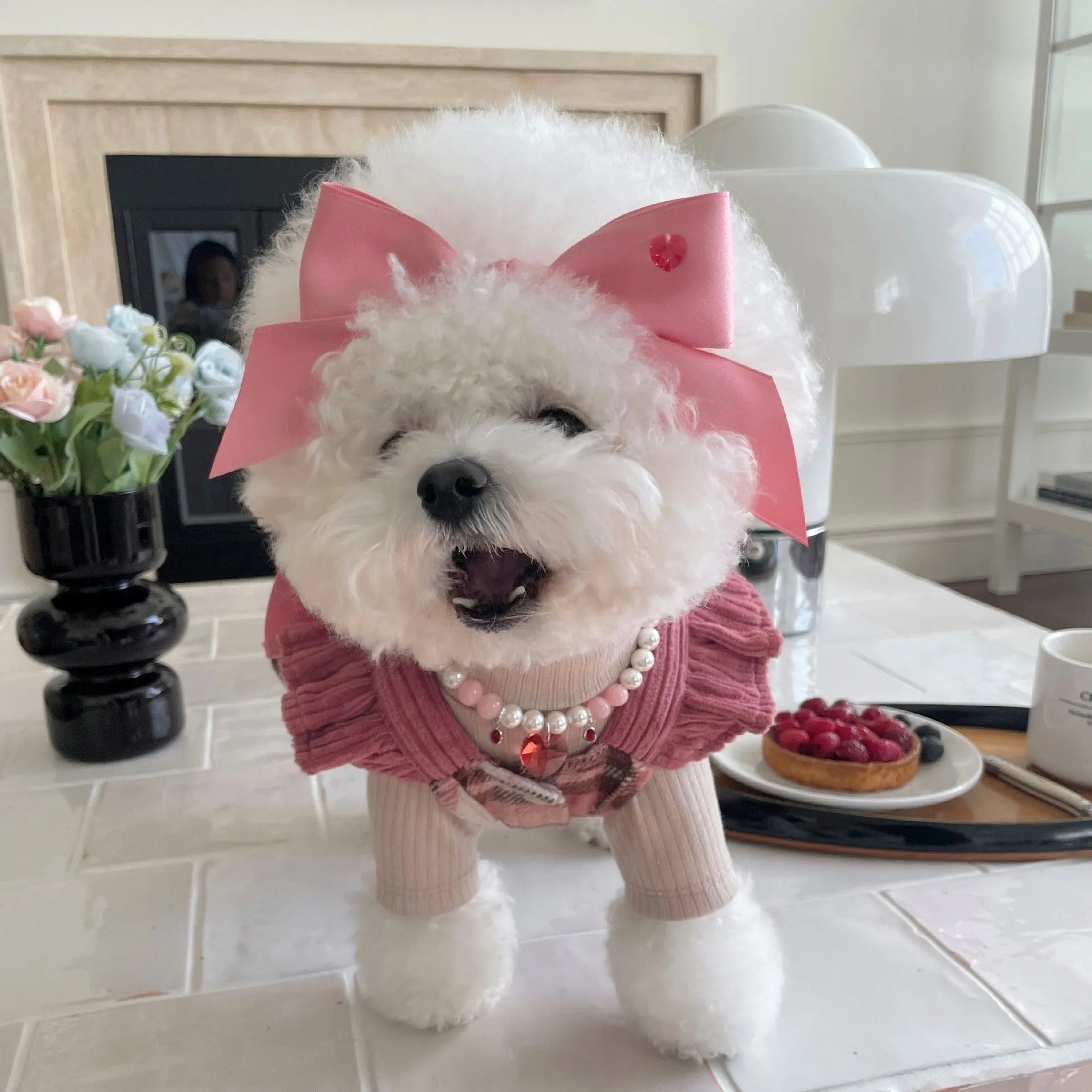Adjustable bow tension dog hair band in polyester cotton with free size 25-40cm fit