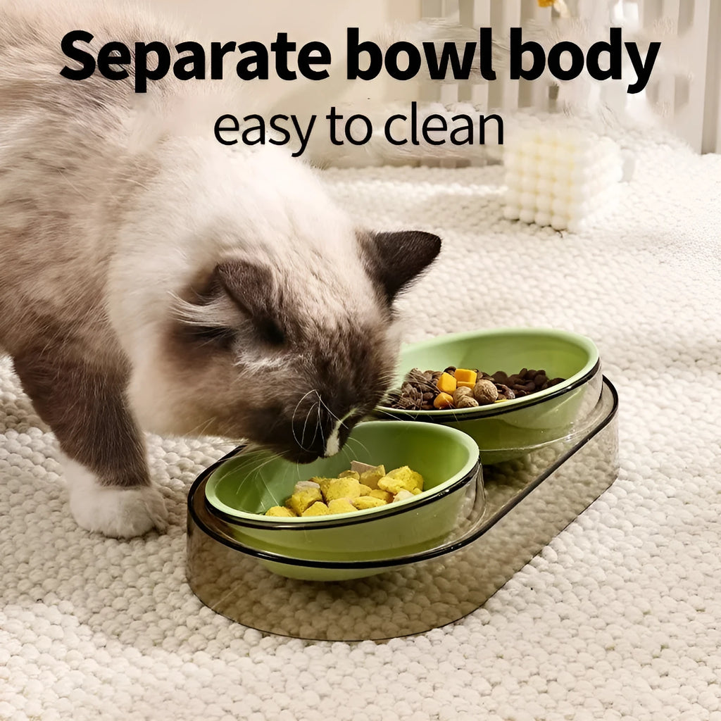 Transparent plastic double cat and dog bowl with two compartments for food and water