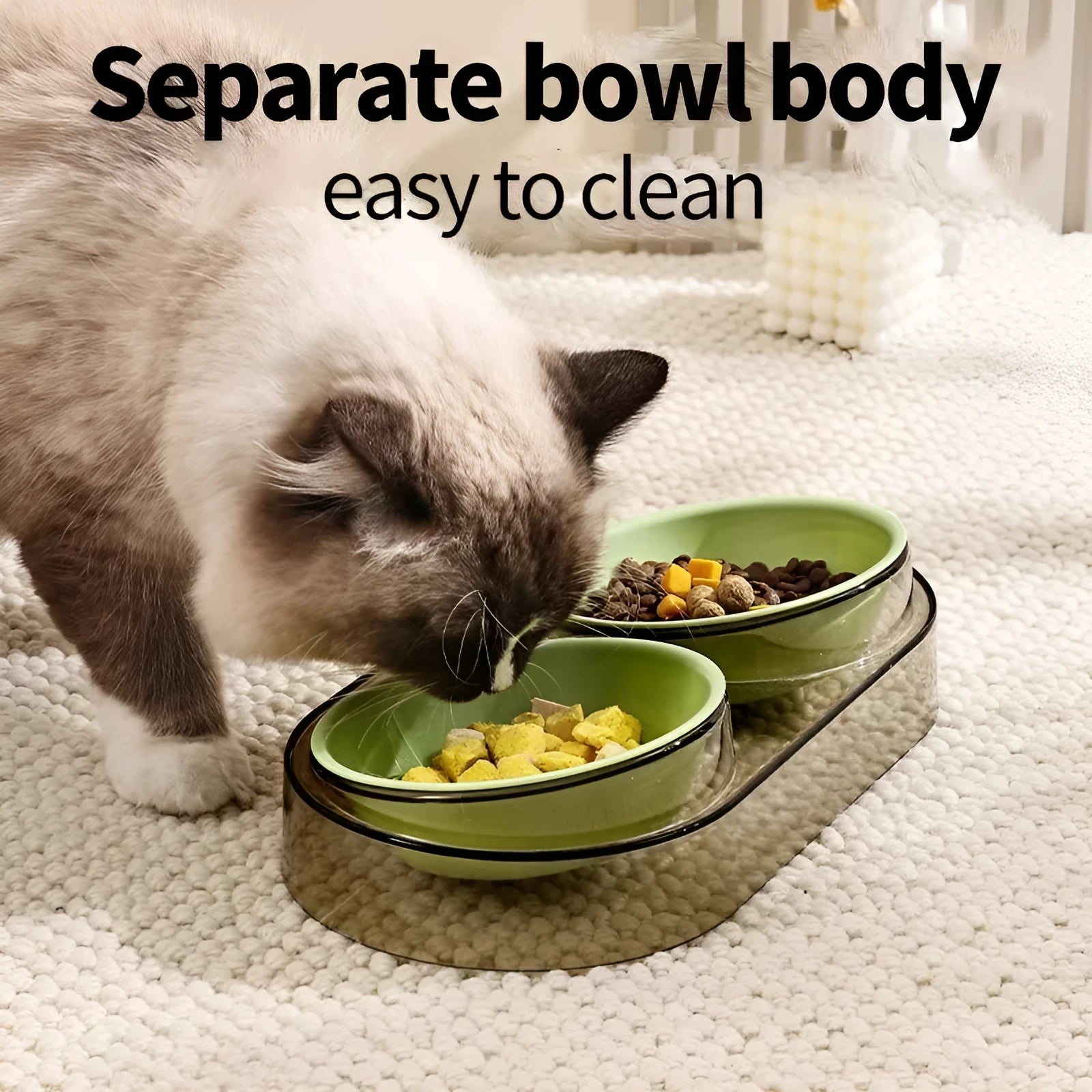 Transparent plastic double cat and dog bowl with two compartments for food and water