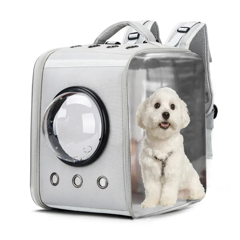 Transparent foldable EVA cat backpack carrier in black with space capsule viewing window