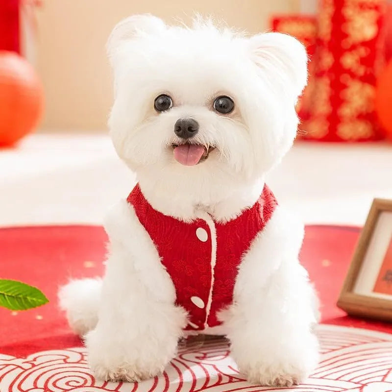 Red Chinese-style cotton dog coat for small dogs, thick material, plush lining, sizes XS-XXL