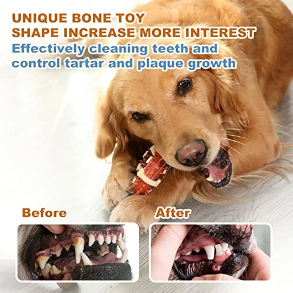 Natural rubber bone-shaped dog molar toy shown in two different sizes for teeth grinding and anxiety relief.