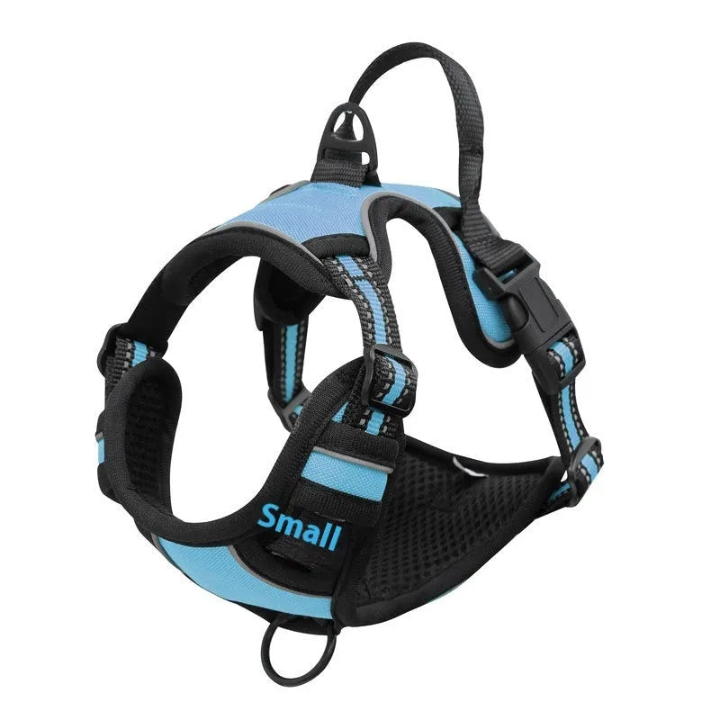 Adjustable dog chest strap harness in Oxford cloth, shown in various colours and sizes.