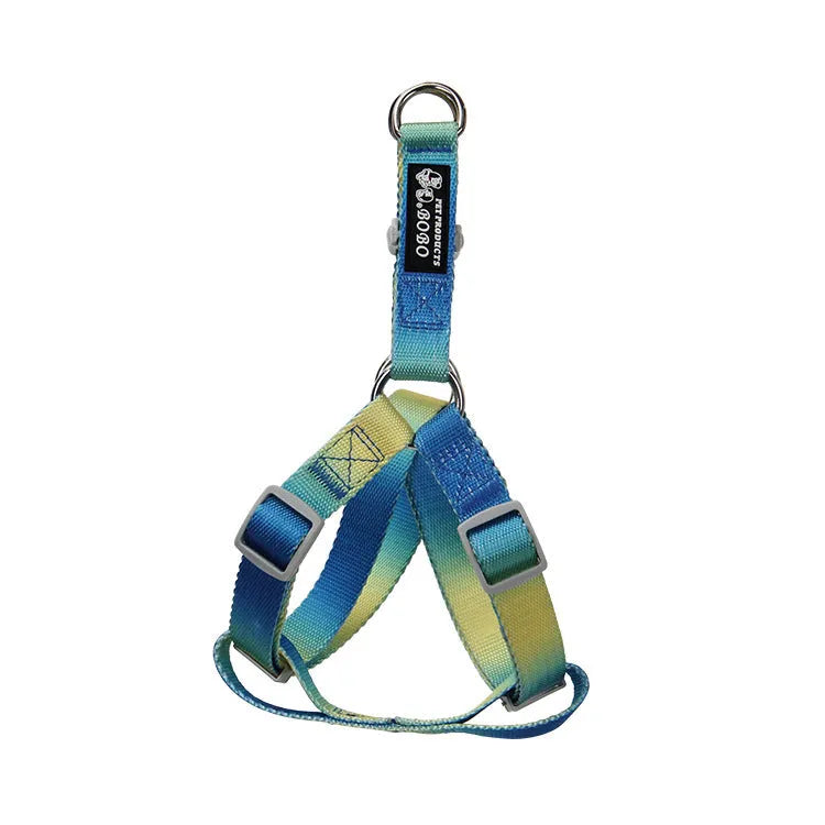 Nylon dog leash set showing gradient colour options including pink blue yellow purple green patterns