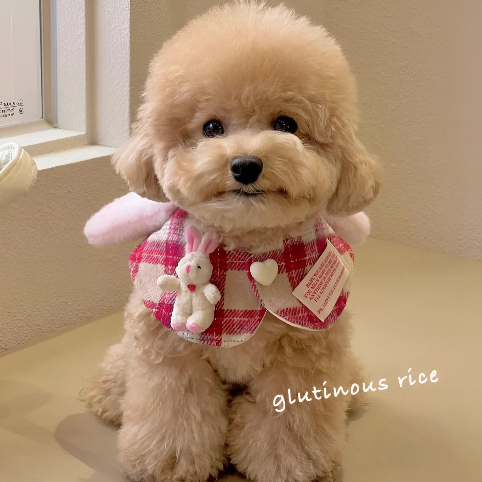 Red plaid rabbit ear pet scarf for dogs and cats, plastic material, three sizes S M L