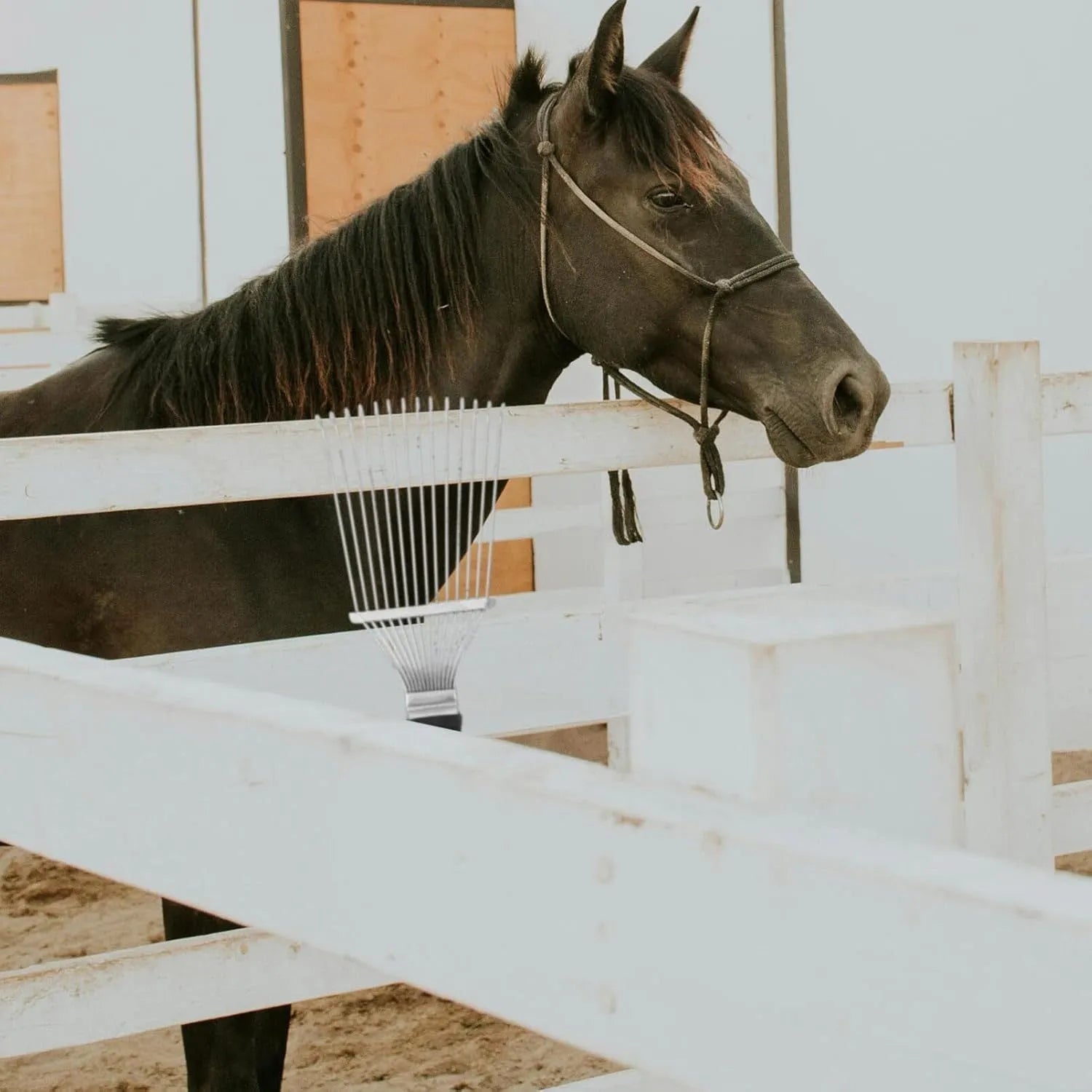 Black stainless steel animal grooming rake comb with curved teeth for horses and dogs.