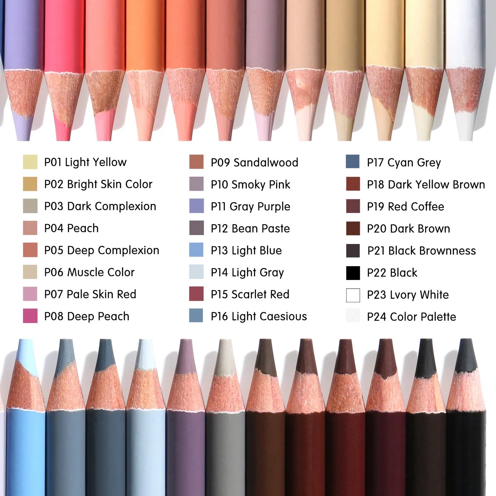 Set of 24 skin colour pencils for portrait art in a round iron tin case.