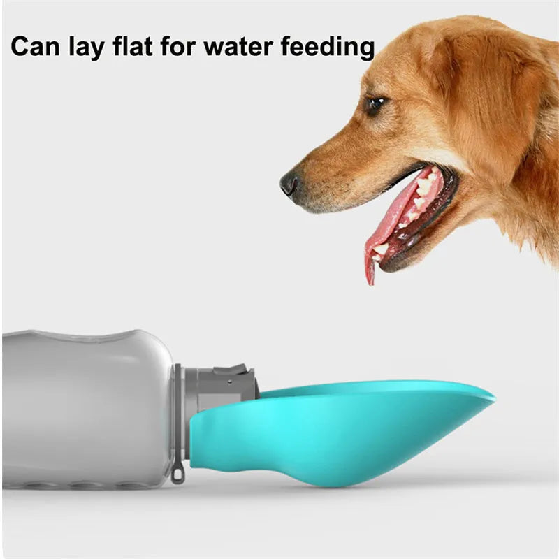 Blue-grey portable dog water bottle with foldable drinking bowl showing 800ml capacity markings