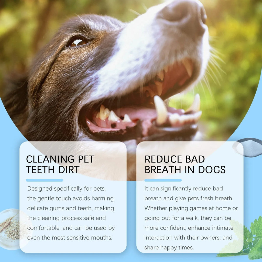 Soft Breath Care pet toothbrush pen with 3ml toothpaste for dog and cat dental cleaning