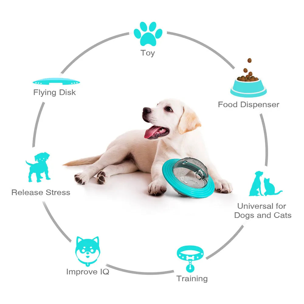 Blue dog treat ball with food dispensing function for slow feeding and IQ training