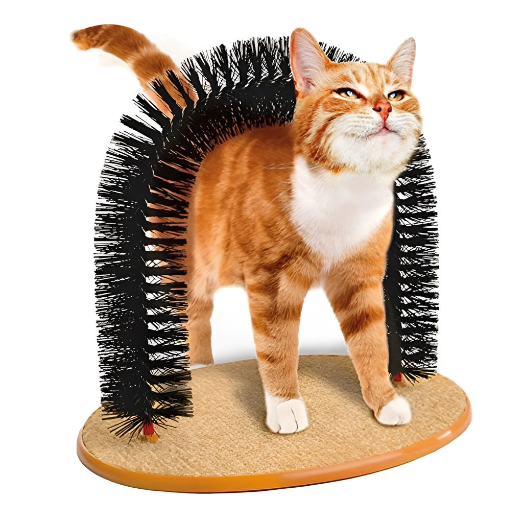 Durable plastic arched cat grooming toy with built-in brush bristles for scratching and rubbing