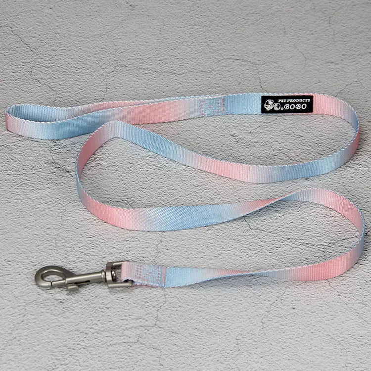 Nylon dog leash set showing gradient colour options including pink blue yellow purple green patterns