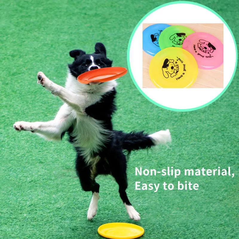 Lightweight 20cm dog flying disc in random colour for fetching games
