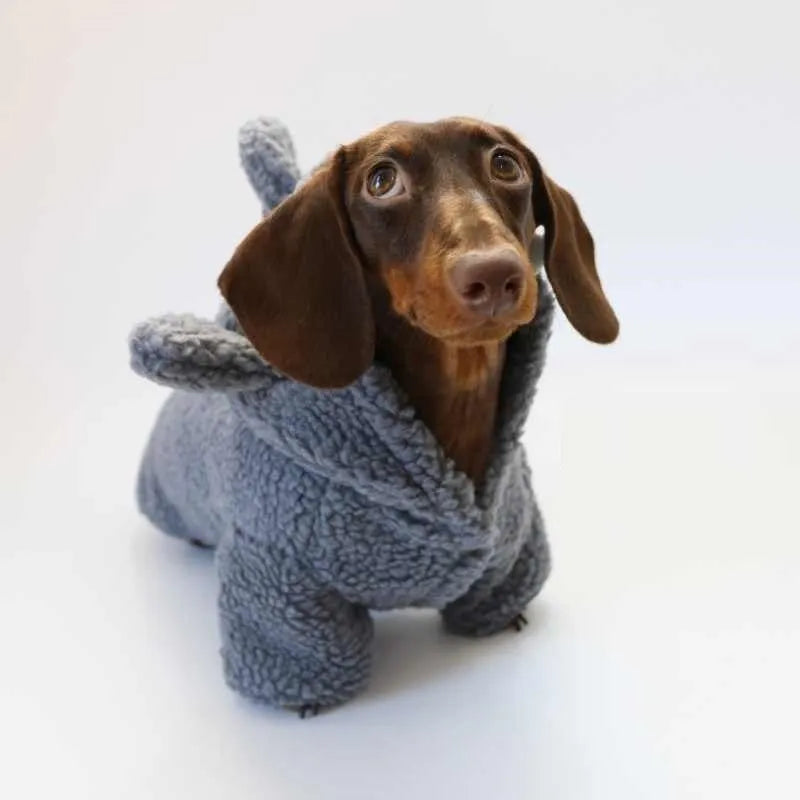 Winter fleece-lined grey hooded shark sweater for small dog or cat