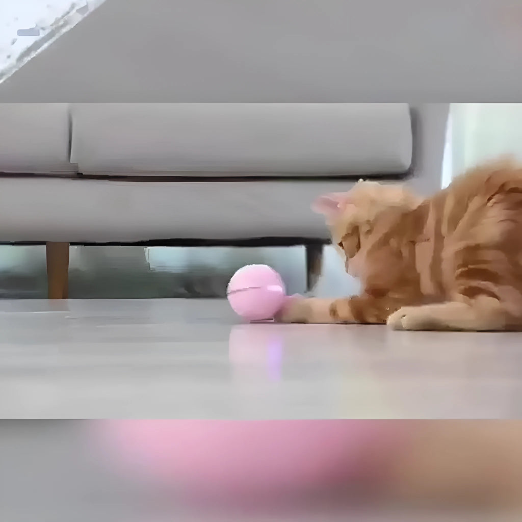 Pink USB rechargeable electric cat toy ball with LED light and feather attachment