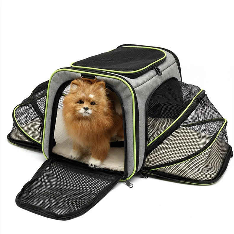 600D cation fabric cat carrier bag in small and large sizes with multiple colour options