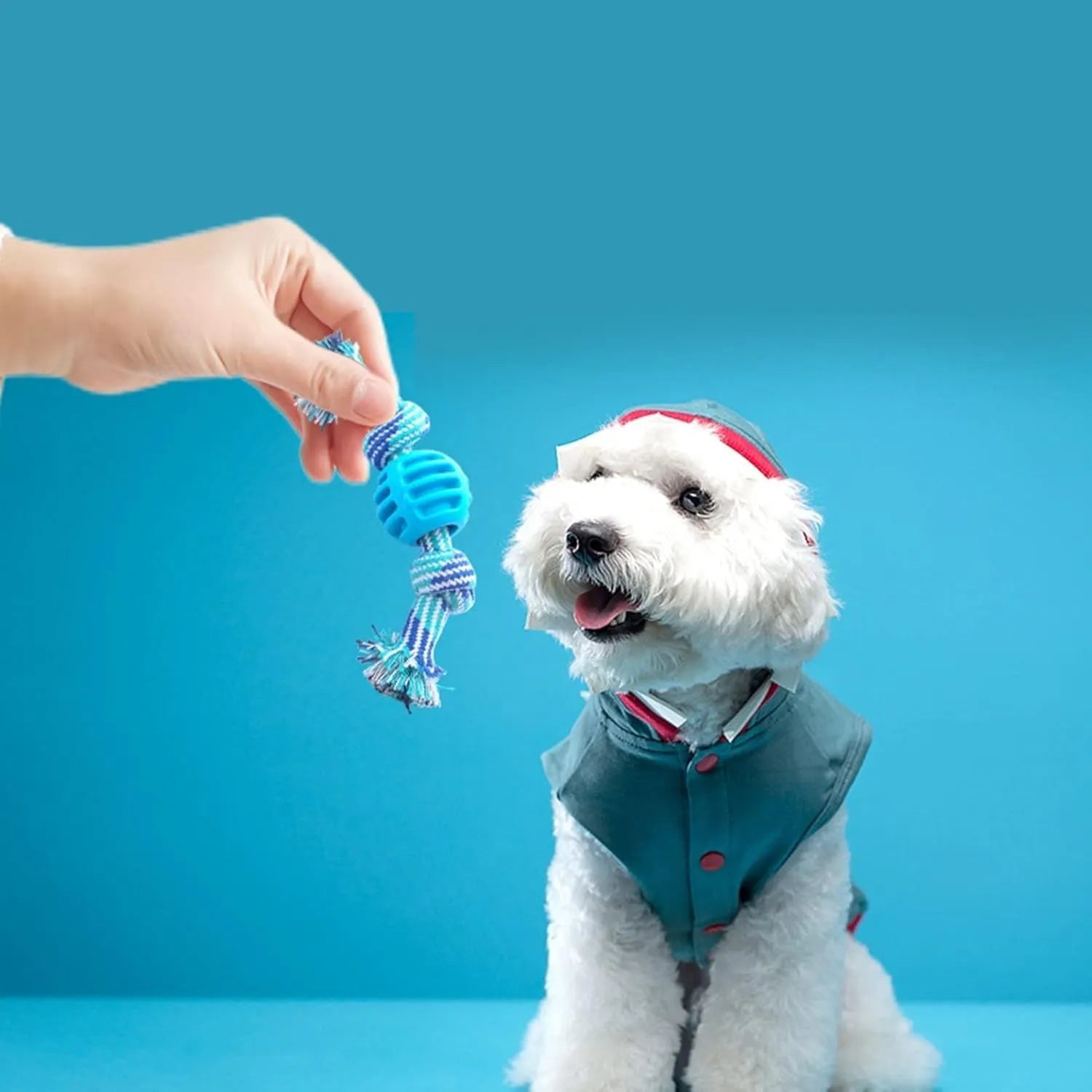 Set of blue and green rope and soft molar chew toys for dogs on a white background.