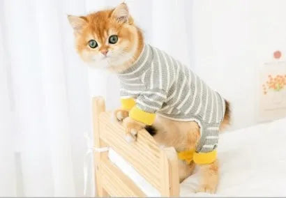 Puppet-style four-legged cat clothes for British Shorthair hairless cats, available in stripes and solid colours, sizes S-2XL