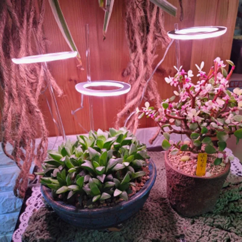 USB-powered full spectrum LED grow light angel ring phytolamp for indoor plants
