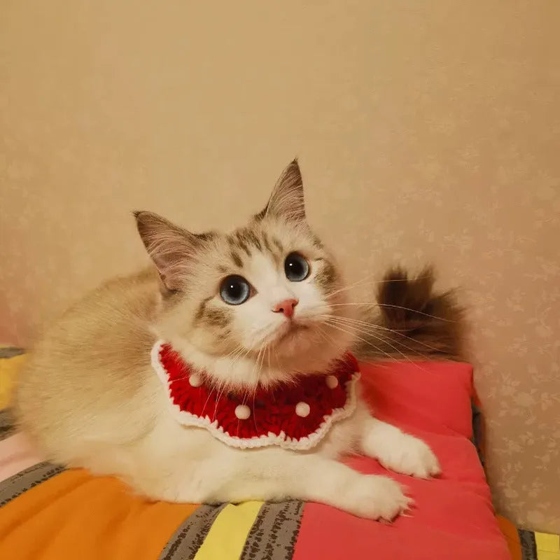 Milk cotton wool knitted pet collar with cartoon pattern for small dogs, cats, or rabbits.