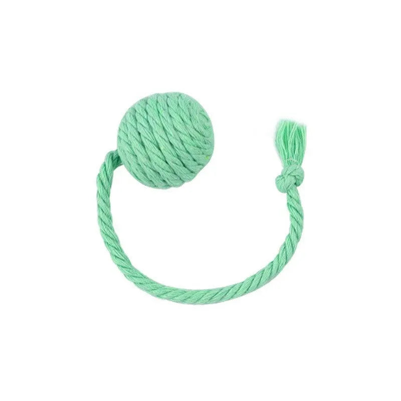 Colourful cat toy ball with an attached rope and built-in bell for kittens, shown in green, pink, purple, and yellow.
