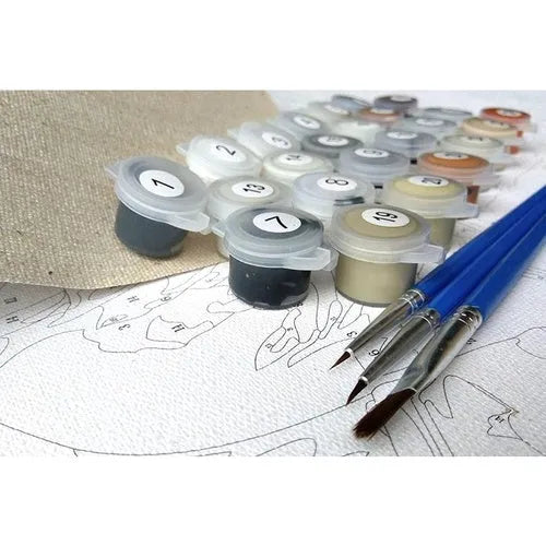 Scared or Surprised Cat paint by numbers kit with canvas, acrylic paints, and brushes