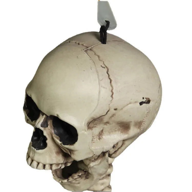 Full 170 cm tall plastic skeleton prop with detailed bones and skull on white background.