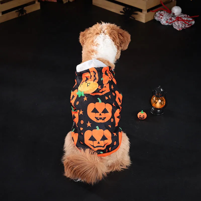 Wansheng pet pumpkin sweater in orange polyester fabric for dogs and cats sizes S to 2XL